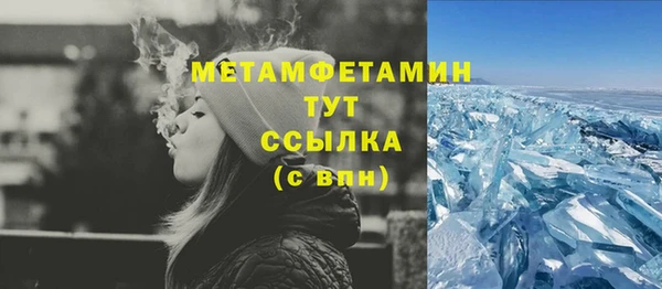 сатива Медногорск