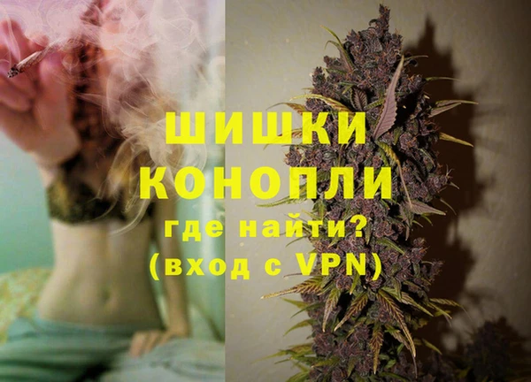 сатива Медногорск