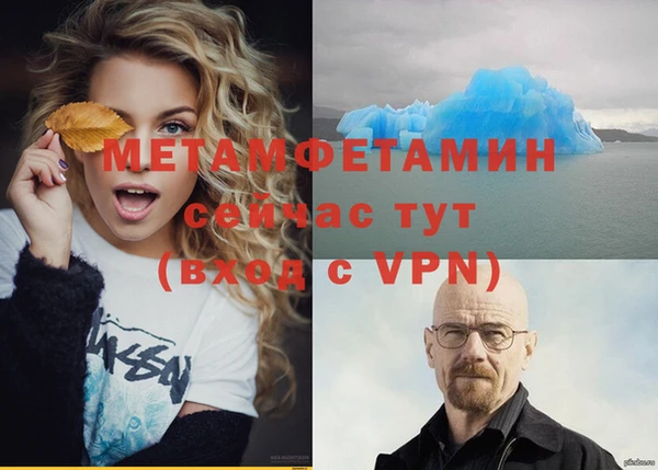 сатива Медногорск