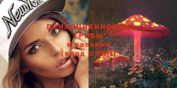 сатива Медногорск
