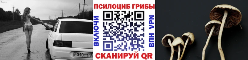 Псилоцибиновые грибы GOLDEN TEACHER  Ельня 